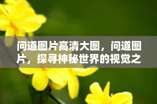 问道图片高清大图,问道图片,探寻神秘世界的视觉之旅 问道图片高清大图,问道图片,探寻神秘世界的视觉之旅
