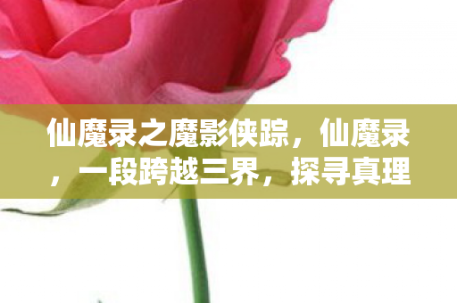 仙魔录之魔影侠踪，仙魔录，一段跨越三界，探寻真理的传奇之旅