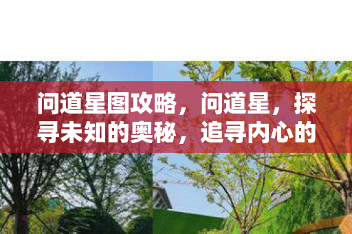 问道星图攻略,问道星,探寻未知的奥秘,追寻内心的指引 问道星图攻略,问道星,探寻未知的奥秘,追寻内心的指引
