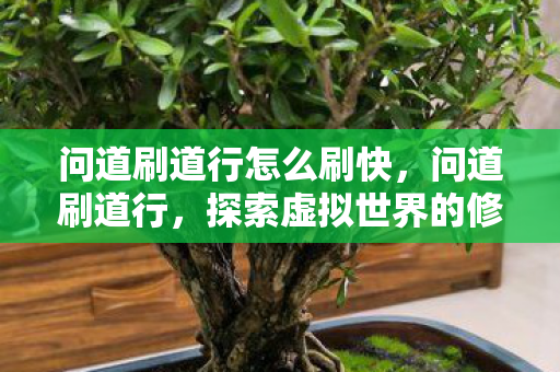 问道刷道行怎么刷快,问道刷道行,探索虚拟世界的修行之旅 问道刷道行怎么刷快,问道刷道行,探索虚拟世界的修行之旅