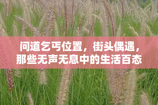 问道乞丐位置,街头偶遇,那些无声无息中的生活百态—与乞丐的问道之旅 问道乞丐位置,街头偶遇,那些无声无息中的生活百态—与乞丐的问道之旅
