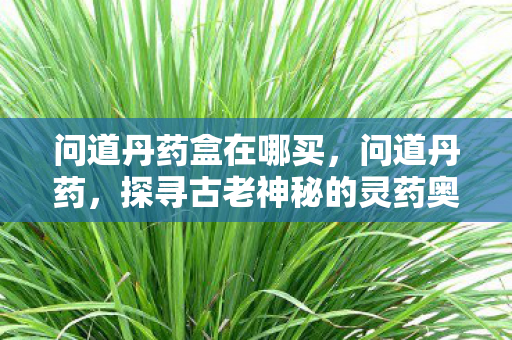 问道丹药盒在哪买,问道丹药,探寻古老神秘的灵药奥秘 问道丹药盒在哪买,问道丹药,探寻古老神秘的灵药奥秘