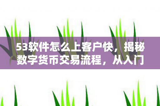 53软件怎么上客户快,揭秘数字货币交易流程,从入门到精通—以53交易为例 53软件怎么上客户快,揭秘数字货币交易流程,从入门到精通—以53交易为例