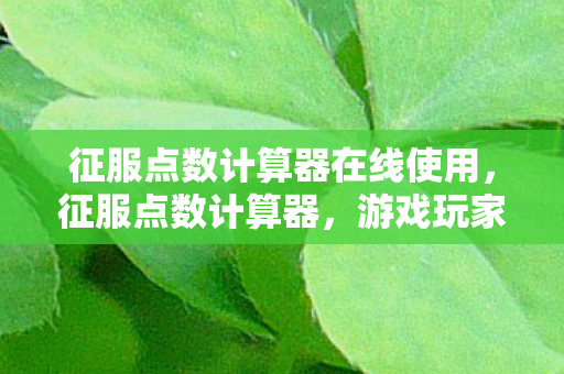 征服点数计算器在线使用,征服点数计算器,游戏玩家的得力助手 征服点数计算器在线使用,征服点数计算器,游戏玩家的得力助手