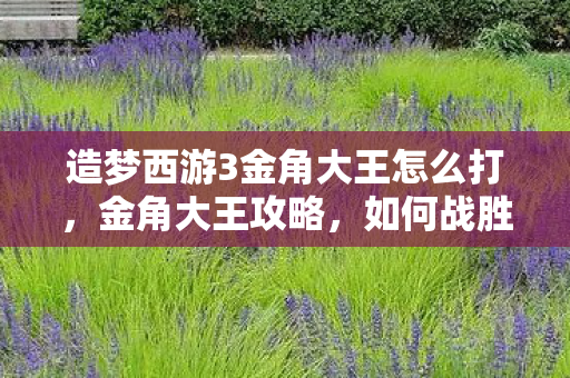 造梦西游3金角大王怎么打，金角大王攻略，如何战胜这位挑战巨头？