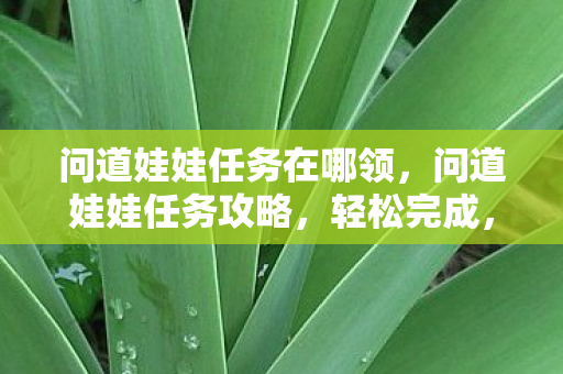 问道娃娃任务在哪领,问道娃娃任务攻略,轻松完成,赢取丰厚奖励! 问道娃娃任务在哪领,问道娃娃任务攻略,轻松完成,赢取丰厚奖励!