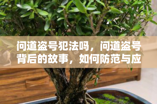 问道盗号犯法吗,问道盗号背后的故事,如何防范与应对游戏账号安全问题? 问道盗号犯法吗,问道盗号背后的故事,如何防范与应对游戏账号安全问题?