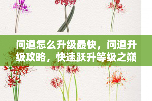 问道怎么升级最快,问道升级攻略,快速跃升等级之巅 问道怎么升级最快,问道升级攻略,快速跃升等级之巅