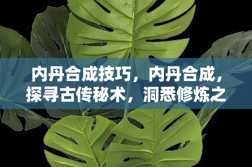 内丹合成技巧,内丹合成,探寻古传秘术,洞悉修炼之道 内丹合成技巧,内丹合成,探寻古传秘术,洞悉修炼之道
