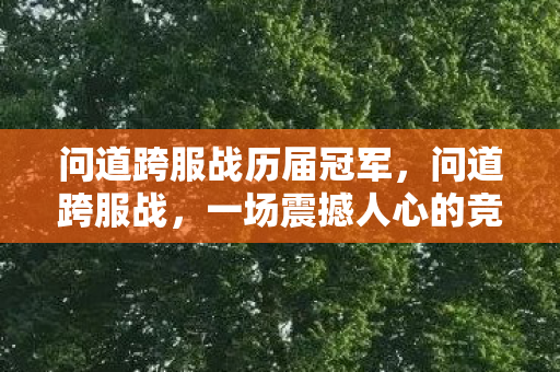 问道跨服战历届冠军,问道跨服战,一场震撼人心的竞技盛宴 问道跨服战历届冠军,问道跨服战,一场震撼人心的竞技盛宴