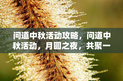 问道中秋活动攻略,问道中秋活动,月圆之夜,共聚一堂,体验传统与创新的融合 问道中秋活动攻略,问道中秋活动,月圆之夜,共聚一堂,体验传统与创新的融合