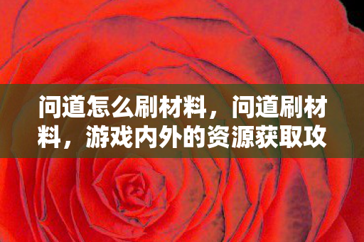 问道怎么刷材料，问道刷材料，游戏内外的资源获取攻略