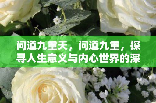 问道九重天，问道九重，探寻人生意义与内心世界的深度之旅