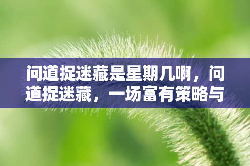 问道捉迷藏是星期几啊,问道捉迷藏,一场富有策略与智慧的较量 问道捉迷藏是星期几啊,问道捉迷藏,一场富有策略与智慧的较量