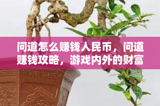 问道怎么赚钱人民币,问道赚钱攻略,游戏内外的财富积累之道 问道怎么赚钱人民币,问道赚钱攻略,游戏内外的财富积累之道