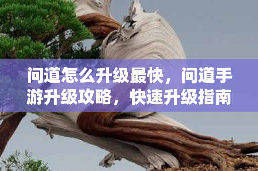 问道怎么升级最快，问道手游升级攻略，快速升级指南
