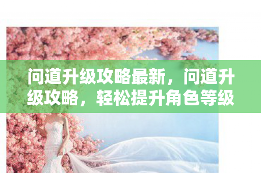 问道升级攻略最新，问道升级攻略，轻松提升角色等级，成为顶尖高手！