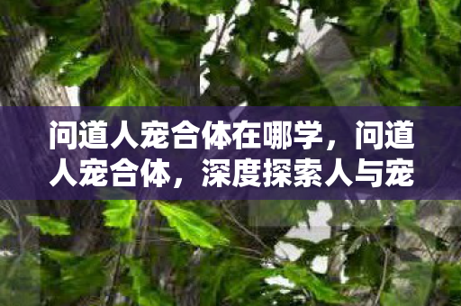问道人宠合体在哪学,问道人宠合体,深度探索人与宠物的共生之道 问道人宠合体在哪学,问道人宠合体,深度探索人与宠物的共生之道