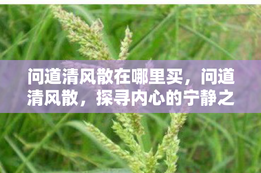 问道清风散在哪里买,问道清风散,探寻内心的宁静之道 问道清风散在哪里买,问道清风散,探寻内心的宁静之道