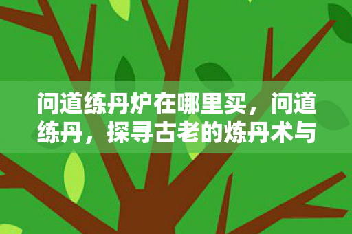 问道练丹炉在哪里买,问道练丹,探寻古老的炼丹术与修行之道 问道练丹炉在哪里买,问道练丹,探寻古老的炼丹术与修行之道