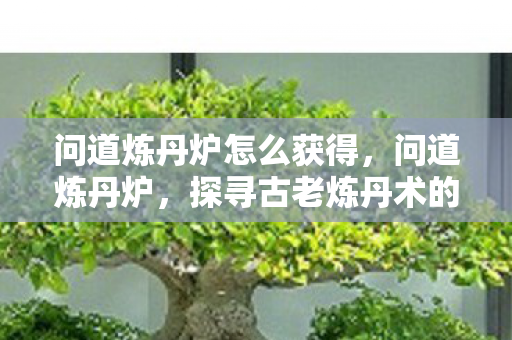 问道炼丹炉怎么获得,问道炼丹炉,探寻古老炼丹术的神秘魅力 问道炼丹炉怎么获得,问道炼丹炉,探寻古老炼丹术的神秘魅力