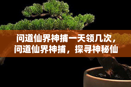 问道仙界神捕一天领几次,问道仙界神捕,探寻神秘仙侠世界的正义使者 问道仙界神捕一天领几次,问道仙界神捕,探寻神秘仙侠世界的正义使者