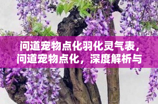 问道宠物点化羽化灵气表,问道宠物点化,深度解析与攻略 问道宠物点化羽化灵气表,问道宠物点化,深度解析与攻略