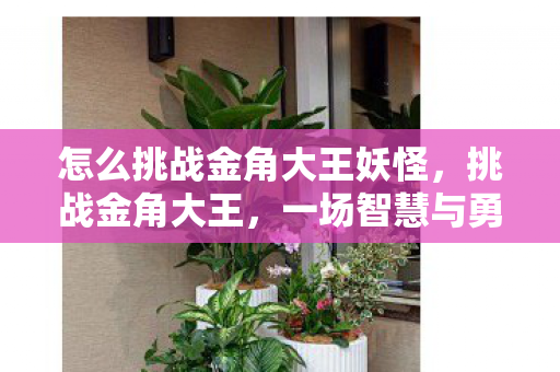怎么挑战金角大王妖怪,挑战金角大王,一场智慧与勇气的较量 怎么挑战金角大王妖怪,挑战金角大王,一场智慧与勇气的较量