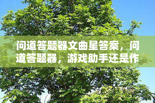问道答题器文曲星答案,问道答题器,游戏助手还是作弊工具? 问道答题器文曲星答案,问道答题器,游戏助手还是作弊工具?