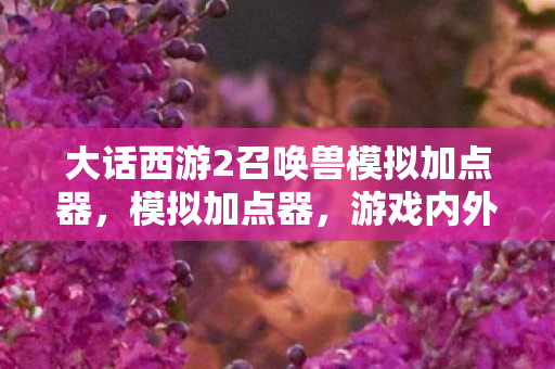 大话西游2召唤兽模拟加点器，模拟加点器，游戏内外的进阶利器