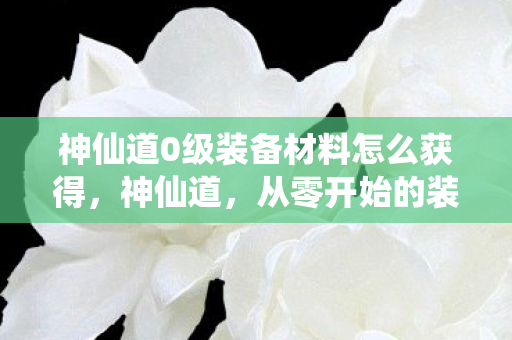 神仙道0级装备材料怎么获得,神仙道,从零开始的装备材料之旅 神仙道0级装备材料怎么获得,神仙道,从零开始的装备材料之旅