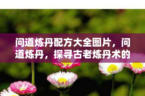 问道炼丹配方大全图片,问道炼丹,探寻古老炼丹术的神秘魅力与传承价值 问道炼丹配方大全图片,问道炼丹,探寻古老炼丹术的神秘魅力与传承价值