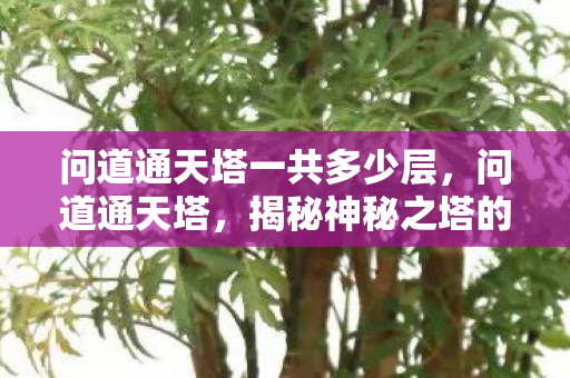 问道通天塔一共多少层,问道通天塔,揭秘神秘之塔的历史与魅力 问道通天塔一共多少层,问道通天塔,揭秘神秘之塔的历史与魅力