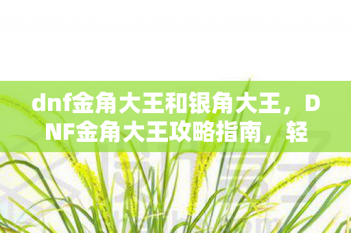 dnf金角大王和银角大王，DNF金角大王攻略指南，轻松战胜强力BOSS