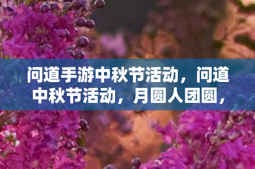 问道手游中秋节活动，问道中秋节活动，月圆人团圆，共庆佳节乐无穷