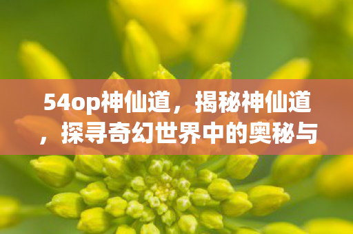54op神仙道,揭秘神仙道,探寻奇幻世界中的奥秘与传奇 54op神仙道,揭秘神仙道,探寻奇幻世界中的奥秘与传奇