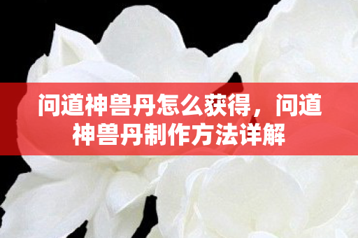 问道神兽丹怎么获得,问道神兽丹制作方法详解 问道神兽丹怎么获得,问道神兽丹制作方法详解