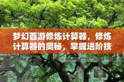 梦幻西游修炼计算器,修炼计算器的奥秘,掌握进阶技能的关键工具 梦幻西游修炼计算器,修炼计算器的奥秘,掌握进阶技能的关键工具