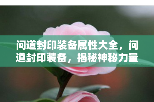 问道封印装备属性大全,问道封印装备,揭秘神秘力量的背后 问道封印装备属性大全,问道封印装备,揭秘神秘力量的背后