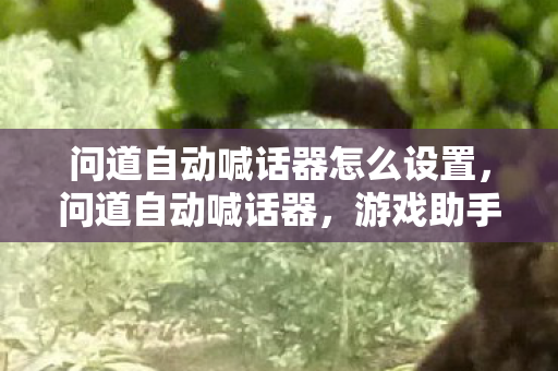 问道自动喊话器怎么设置,问道自动喊话器,游戏助手还是作弊工具? 问道自动喊话器怎么设置,问道自动喊话器,游戏助手还是作弊工具?
