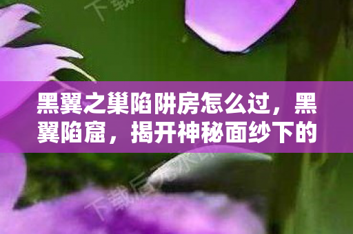 黑翼之巢陷阱房怎么过,黑翼陷窟,揭开神秘面纱下的真相 黑翼之巢陷阱房怎么过,黑翼陷窟,揭开神秘面纱下的真相
