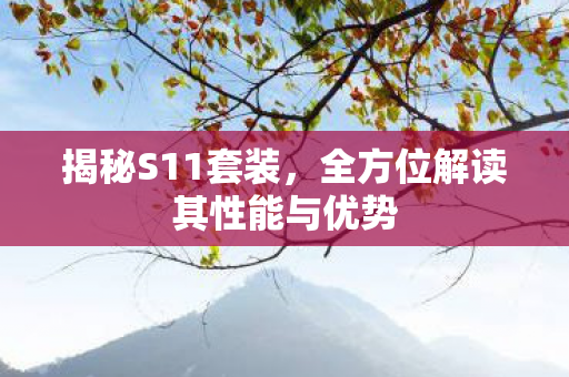 揭秘S11套装，全方位解读其性能与优势