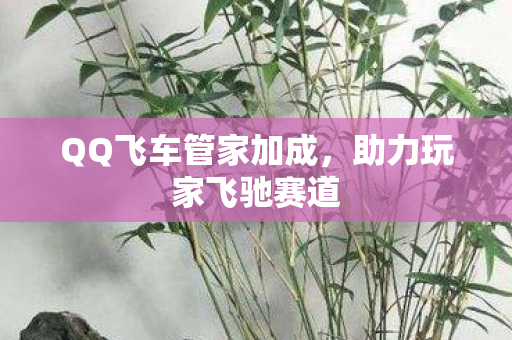 QQ飞车管家加成，助力玩家飞驰赛道