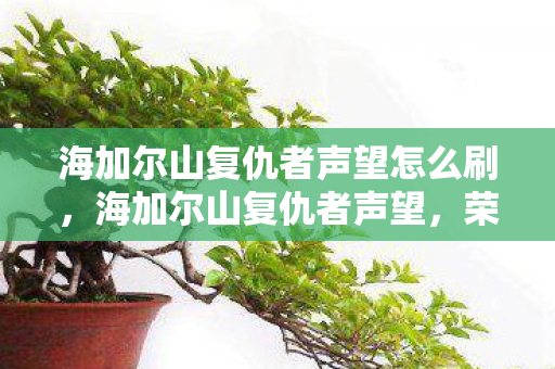 海加尔山复仇者声望怎么刷，海加尔山复仇者声望，荣耀与责任并存