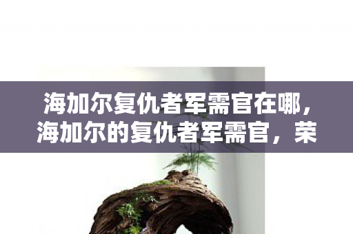 海加尔复仇者军需官在哪,海加尔的复仇者军需官,荣耀与牺牲的象征 海加尔复仇者军需官在哪,海加尔的复仇者军需官,荣耀与牺牲的象征