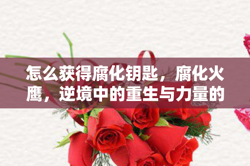 怎么获得腐化钥匙,腐化火鹰,逆境中的重生与力量的觉醒 怎么获得腐化钥匙,腐化火鹰,逆境中的重生与力量的觉醒