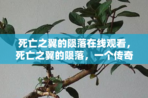 死亡之翼的陨落在线观看，死亡之翼的陨落，一个传奇的终结