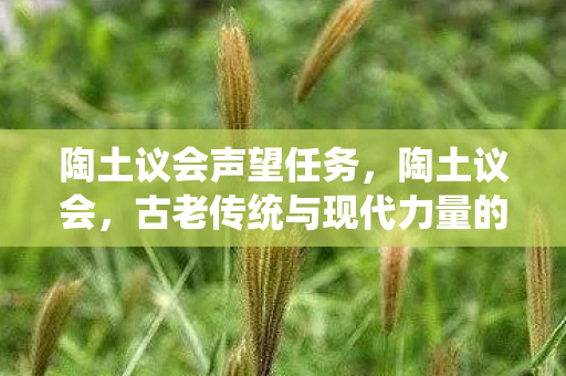 陶土议会声望任务,陶土议会,古老传统与现代力量的交汇点 陶土议会声望任务,陶土议会,古老传统与现代力量的交汇点