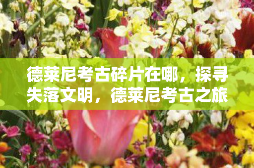 德莱尼考古碎片在哪,探寻失落文明,德莱尼考古之旅 德莱尼考古碎片在哪,探寻失落文明,德莱尼考古之旅