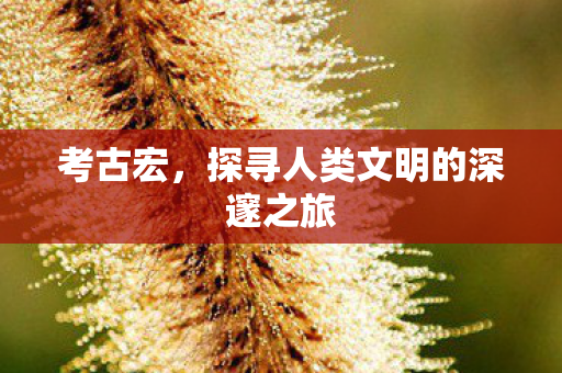 考古宏,探寻人类文明的深邃之旅 考古宏,探寻人类文明的深邃之旅